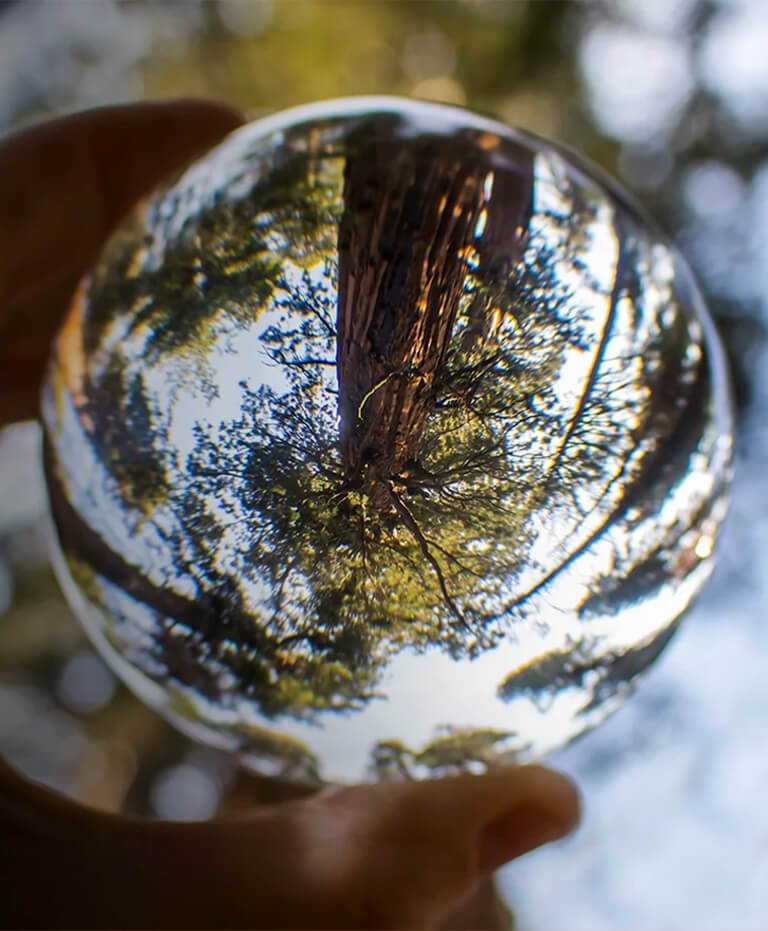 Curso de Facilitadores de Constela&ccedil;&otilde;es